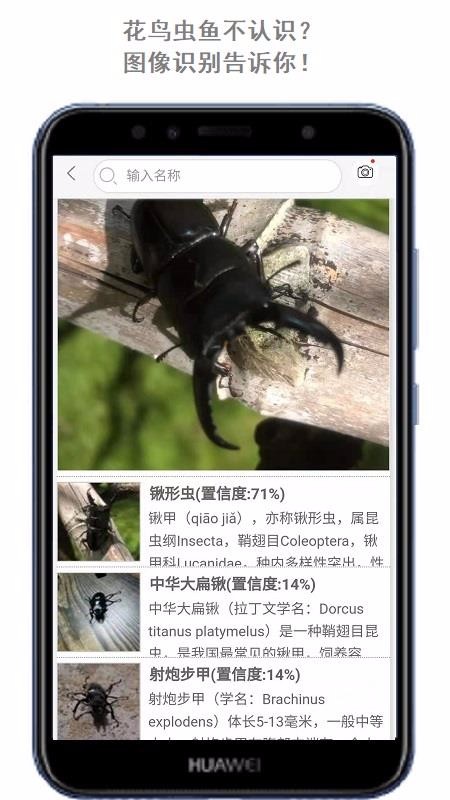 萬物頭條