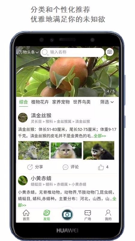萬物頭條