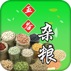 中國(guó)雜糧網(wǎng)app