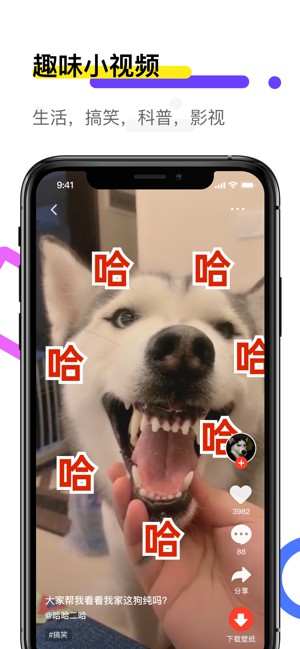 火螢動態(tài)壁紙
