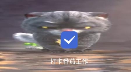 打卡番茄工作app安卓版