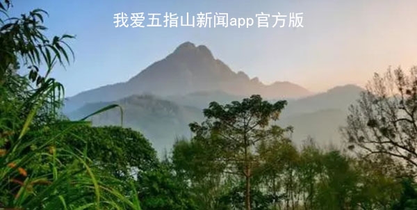 我愛五指山新聞app官方版