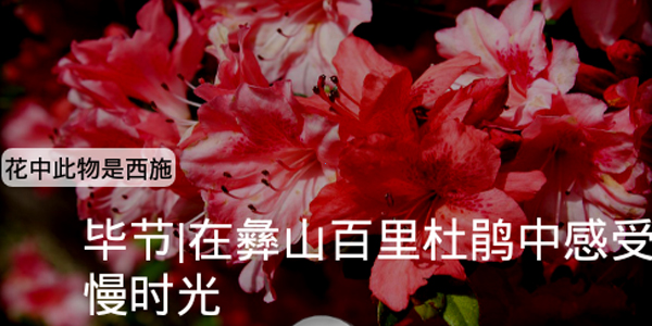 稻趣
