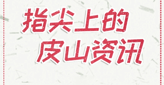 皮山好地方app安卓版