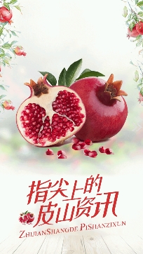皮山好地方app安卓版