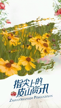 皮山好地方app安卓版