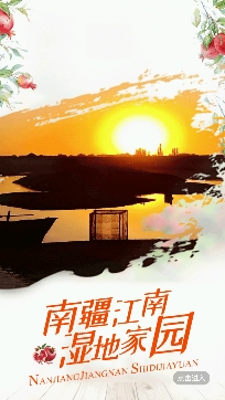 皮山好地方app安卓版
