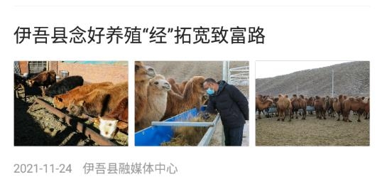 伊吾好地方app最新版