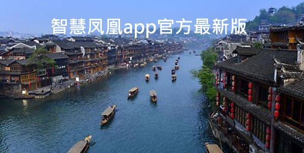 智慧鳳凰app官方最新版