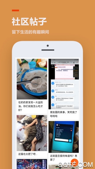 233樂園老版本