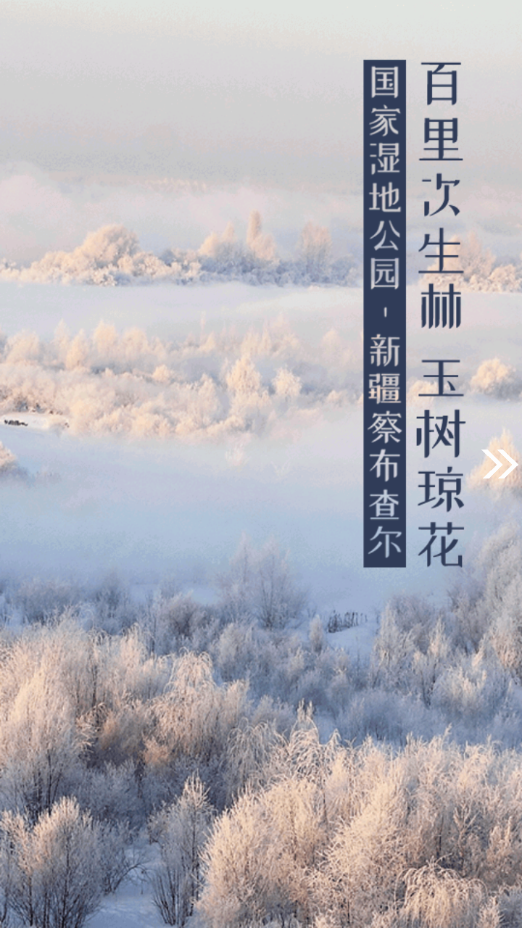 察布查爾好地方app最新版