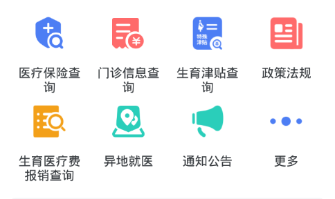 石家莊醫(yī)保查詢官方版