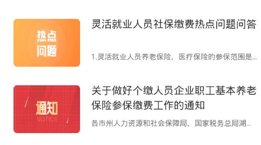 湖南稅務(wù)總局湖南省電子稅務(wù)最新版
