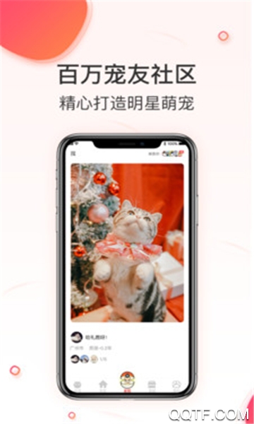 相寵app安卓版(寵物相親平臺(tái))