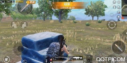日草草單碼卡密免費版