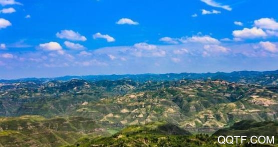 愛子洲手機(jī)客戶端