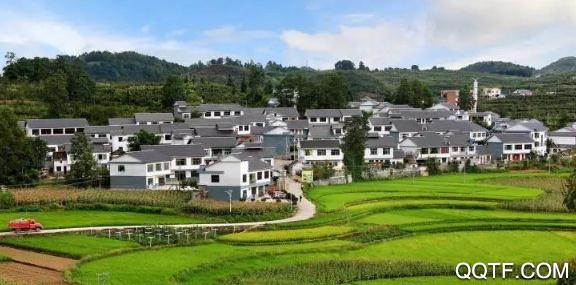 洋口鄉(xiāng)春最新版
