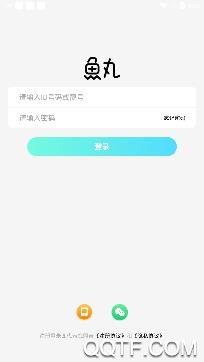 魚丸交友app安卓版