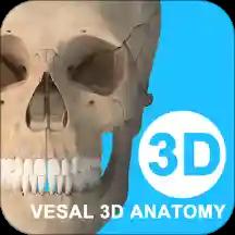 維薩里3D解剖 安卓版v5.6.0