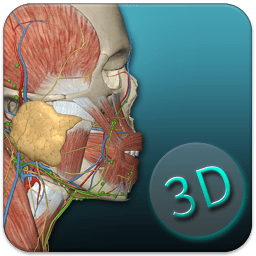 人體解剖學圖集3D 安卓版v3.14.1