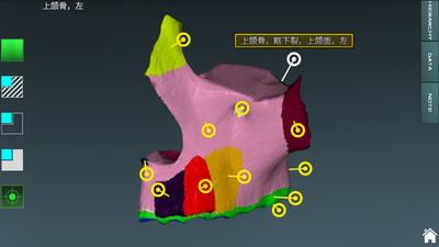 人體解剖學(xué)圖集3D