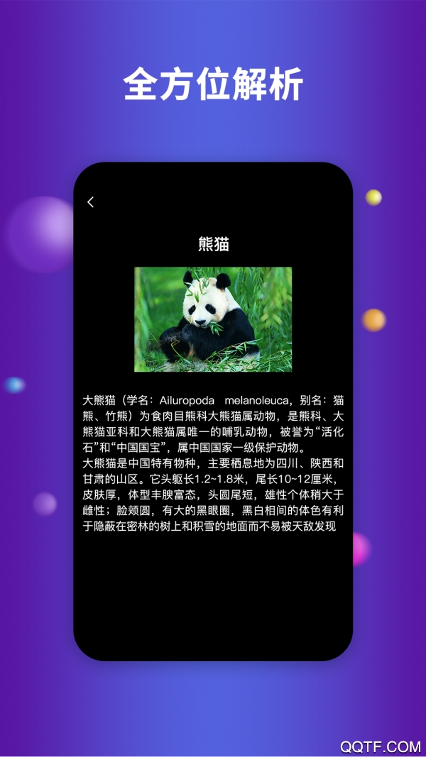 航路地球earth官方版