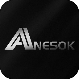 ANESOK Android版