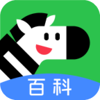 斑馬百科最新版本