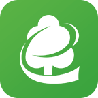 木材碼頭官方版APP