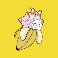 播皮app更新