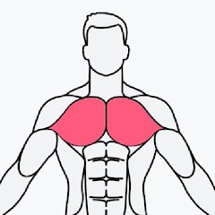 MuscleWiki Android應(yīng)用程序