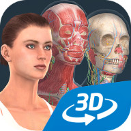 女性人體系統(tǒng)3D官方版