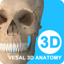 維薩里3D解剖應(yīng)用新版