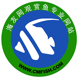 海友網(wǎng)安卓客戶(hù)端下載安裝