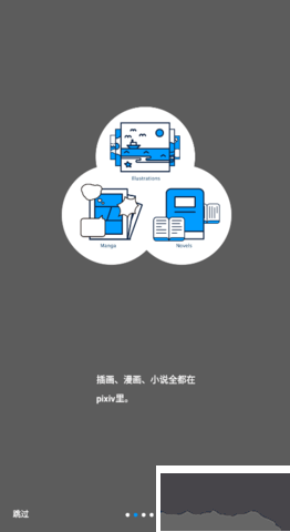 pixiv中文版更新至v6.100.0