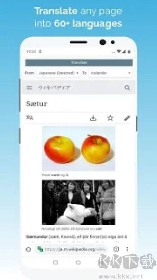 Kiwi Browser Advanced Edition v124.0.6