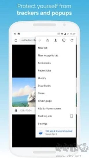 Kiwi Browser Advanced Edition v124.0.6
