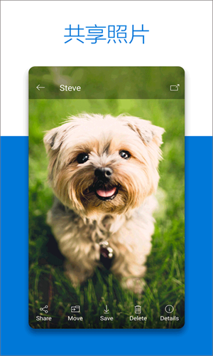 OneDrive v7.9