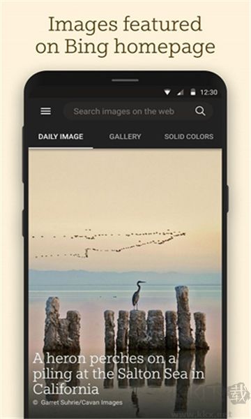 必應(yīng)壁紙app v1.9.20更新