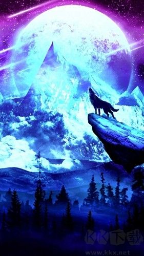 wallpaper4K安卓版 v3.43.01正版