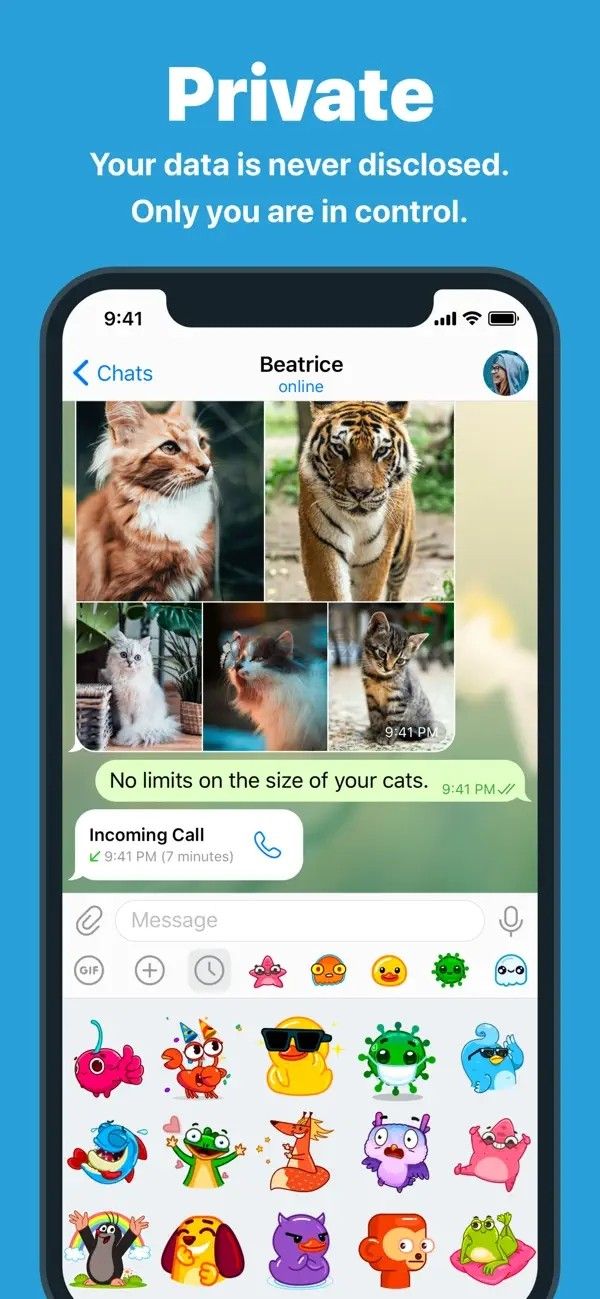 紙飛機telegram v9.5.4中文版