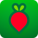 叮咚買菜配送官方版 v11.13.0