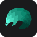 穿梭加速器app官方版 v4.1.5