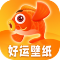 幸運(yùn)壁紙2024