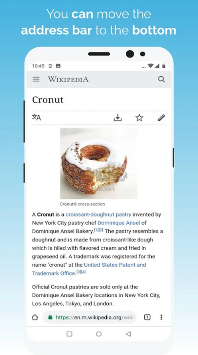 Kiwi Browser App Google Version v124.0.6