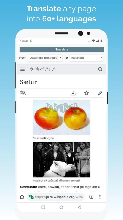 Kiwi Browser App Google Version v124.0.6