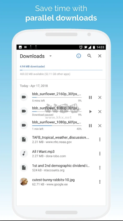 Kiwi Browser App Google Version v124.0.6