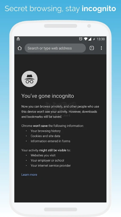 Kiwi Browser App Google Version v124.0.6