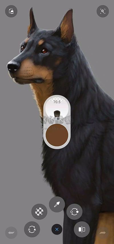 Sketchbook Android 2024 v6.0.6