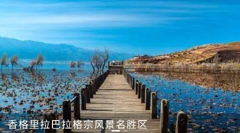 視聽迪慶app安卓版